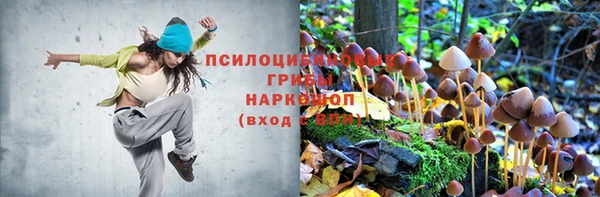 jwh Аркадак