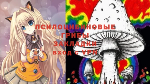 стафф Арсеньев